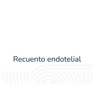 est-08-recuento